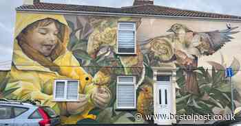 The hidden street art revolution of The Chessels