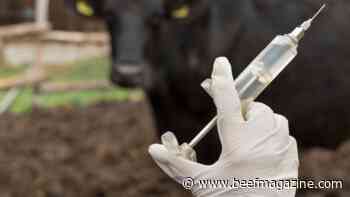 Vet answers questions on FDA antibiotic prescription requirement