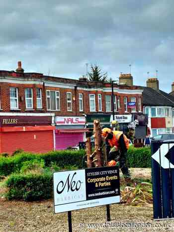 Gidea Park: Anger as Havering Council chops down trees