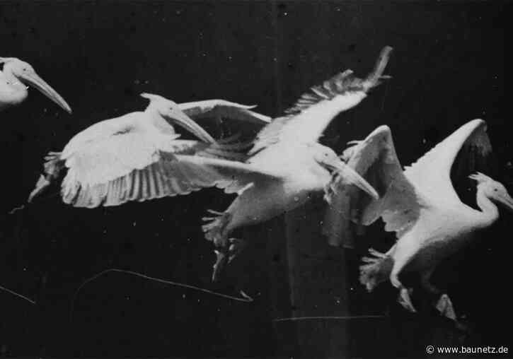 Unvollendete Architektur
 - Ausstellung in Berlin