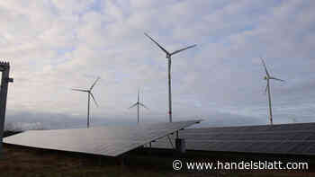 Versicherung: Alte Leipziger Hallesche kritisiert Bürokratie bei nachhaltigen Investments