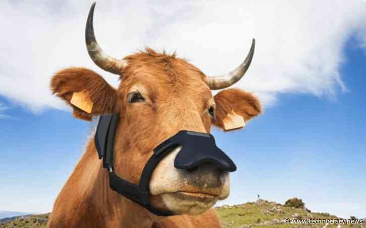 Bill Gates Invests $4.7 Million In Data-Collecting Faceware For Livestock