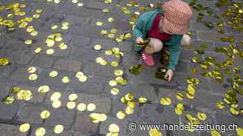 Wie viel die Rettung der CS der Bevölkerung kostet