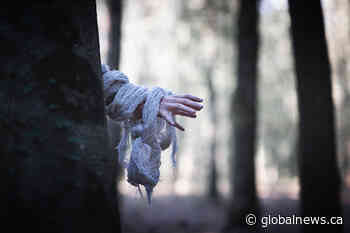 Edmonton ranked best Canadian city to live in during a zombie apocalypse