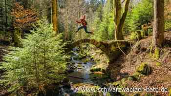 Tourismus im Kreis Calw: Branche lässt Corona hinter sich