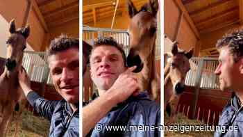 „Genau die richtige Ablenkung“: So schaltet Müller nach der Bayern-Pleite und seiner Nicht-Nominierung ab