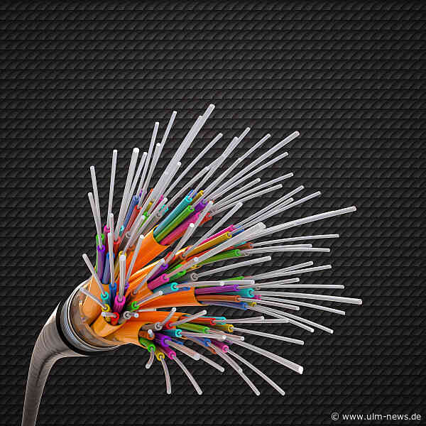 Glasfaserausbau stockt: Brandbrief von Ronja Kemmer (CDU) an Minister Volker Wissing (FDP)