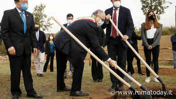 La Corte dei Conti abbatte i finti alberi di Gualtieri: "La semina non è forestazione"