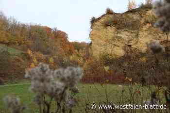 Steinschlag am Doberg: Baggerarbeiten sollen nicht der Auslöser sein