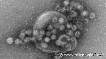 Mehr als 130 Patienten in Schweinfurt wohl mit Norovirus infiziert