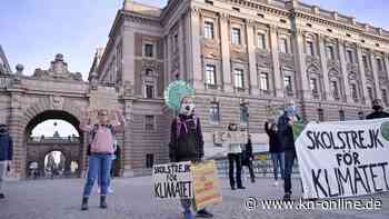 Schweden: Jugendliche verklagen Staat wegen Klimapolitik – Gericht lässt Klage zu
