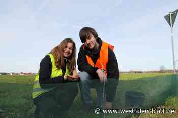 Löhne: Bufdis helfen Amphibien wandern