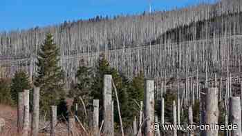 Klimawandel in Deutschland: Das waren die extremen Wetterereignisse des vergangenen Jahres