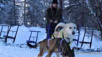 Sask. mother embraces nature in and outside of business life