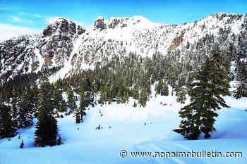 Satellite tracking helps rescue injured skier from remote North Island area