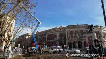 Via Nomentana, dopo oltre due mesi si conclude la potatura di 600 platani