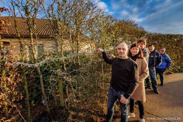 Buren hangen kerstverlichting op na ongevallen aan donker kruispunt in Grootlo: “Al twee keer reed er iemand door de haag”