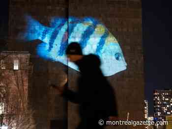 Quebec budget adds funding to protect freshwater reserves, biodiversity