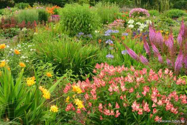 Gemeente verlengt project ‘De Klimaattuincoach’