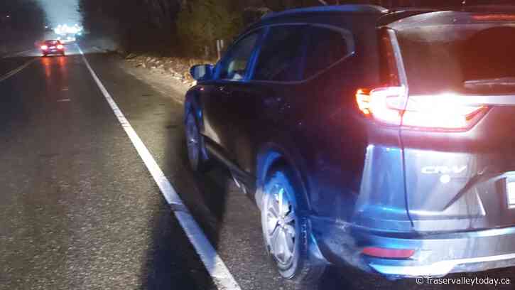 Abbotsford man, 18, spits at police after getting caught speeding in parents’ Honda CRV