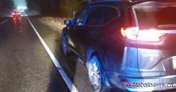 Teen driver charged after allegedly spitting in Abbotsford, B.C. police officers’ faces