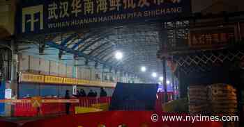 Report of Wuhan Market Samples Found Covid and Animal Mixtures