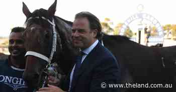 Pepper stars at Rosehill