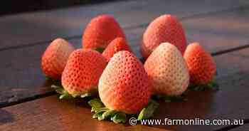 Fruit and veg 'eating gap' at half a million tonnes by 2030