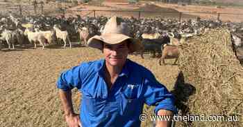 From goat depot owner to tourism operator, a lesson in outback adaptability