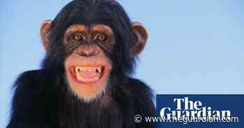 Did you solve it? The infinite monkey theorem