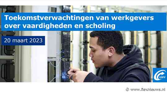 Welke vaardigheden van werknemers vinden werkgevers belangrijk?