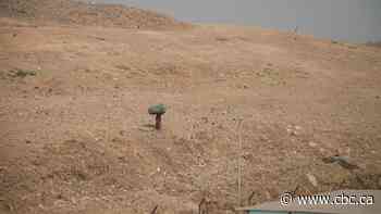 India's plastic problem: No easy fix for trash mountains that provide profit and pain