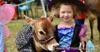 All the action from the Gippsland Youth Show