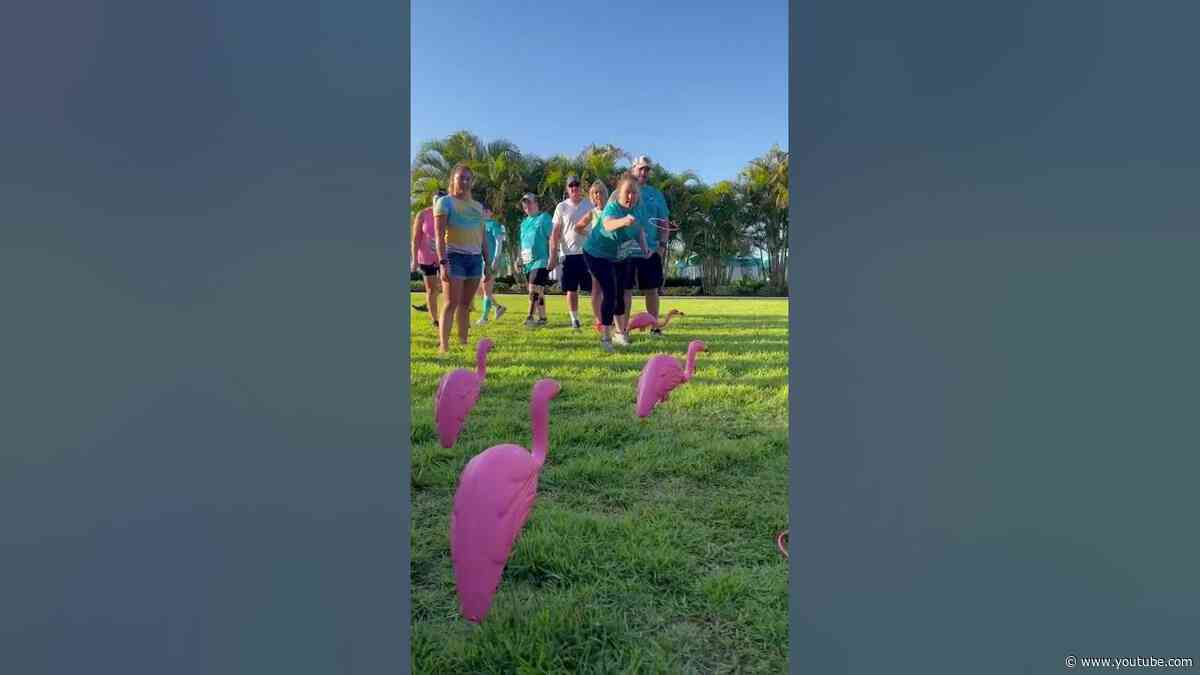 Welcome to the Margaritaville Run!