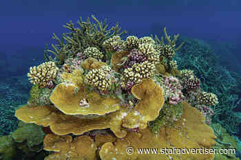 Biden wants largest marine sanctuary in Pacific