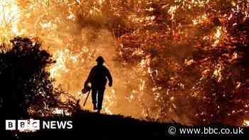 UN climate report: Scientists release 'survival guide' to avert climate disaster