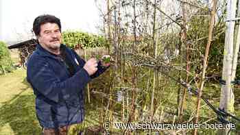 Garten ist Erholung statt Arbeit: Für Haiterbacher kommt nach Familie  gleich die Natur