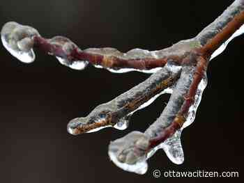 Weather: Freezing rain warning for presidential visit, but no hail for chief