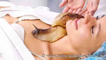 Riesenschnecke im Wellness-Tempel: Was die tierische Schleim-Massage bringen soll
