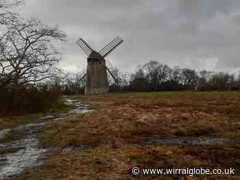 RSPCA give an update after dog found dead on Bidston Hill