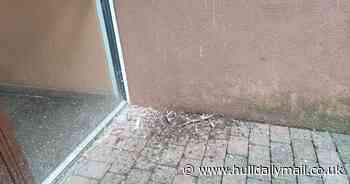 Plague of pigeons in block of flats left air stewardess with 's**t in her hair'