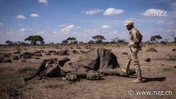 Tage des Wassers in New York: Die Uno will die drohende Wasserknappheit bekämpfen