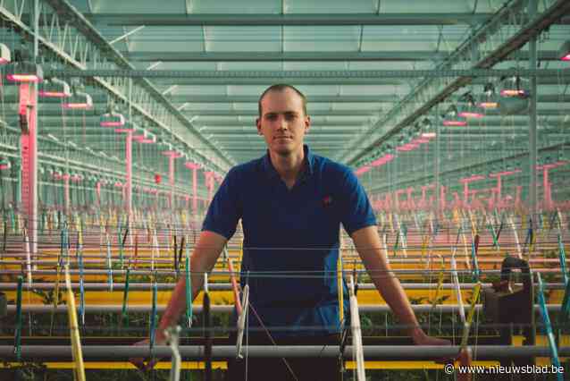 Viskwekerij en tomatenserre doen aan waterruil: “Regenwater voor hen, vissenmest voor ons”