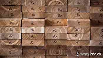 Government will ensure wood pulp giant Paper Excellence respects Canadian laws: Wilkinson