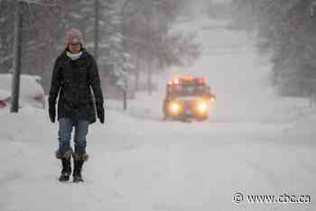 Spring is in the air in northwestern Ontario, but so is 15cm of snow