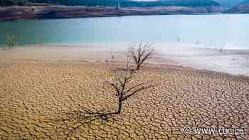 UN chief says overconsumption of water is 'draining humanity's lifeblood'