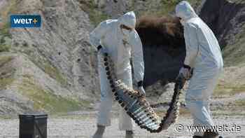 Kern aus Uran – Die „einmalige Eigenschaft“ der britischen Munition für Kiew