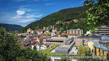 585 000 Euro: Betreibt Bad Wildbad Lobbyarbeit im Landtag?