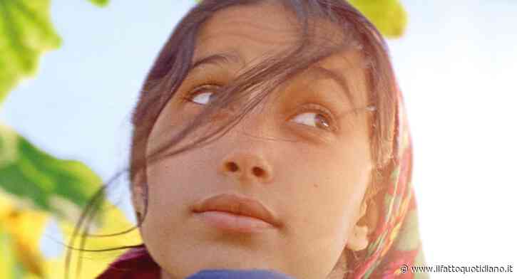 Il frutto della tarda estate, il film della regista Erige Sehiri è una gemma di affascinante taglio e preziosa fattura