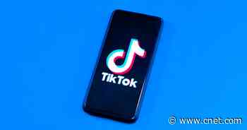 TikTok CEO Will Urge Against Ban, Say It Has Solutions to Data Concerns     - CNET